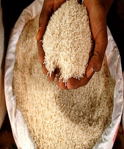 RICE